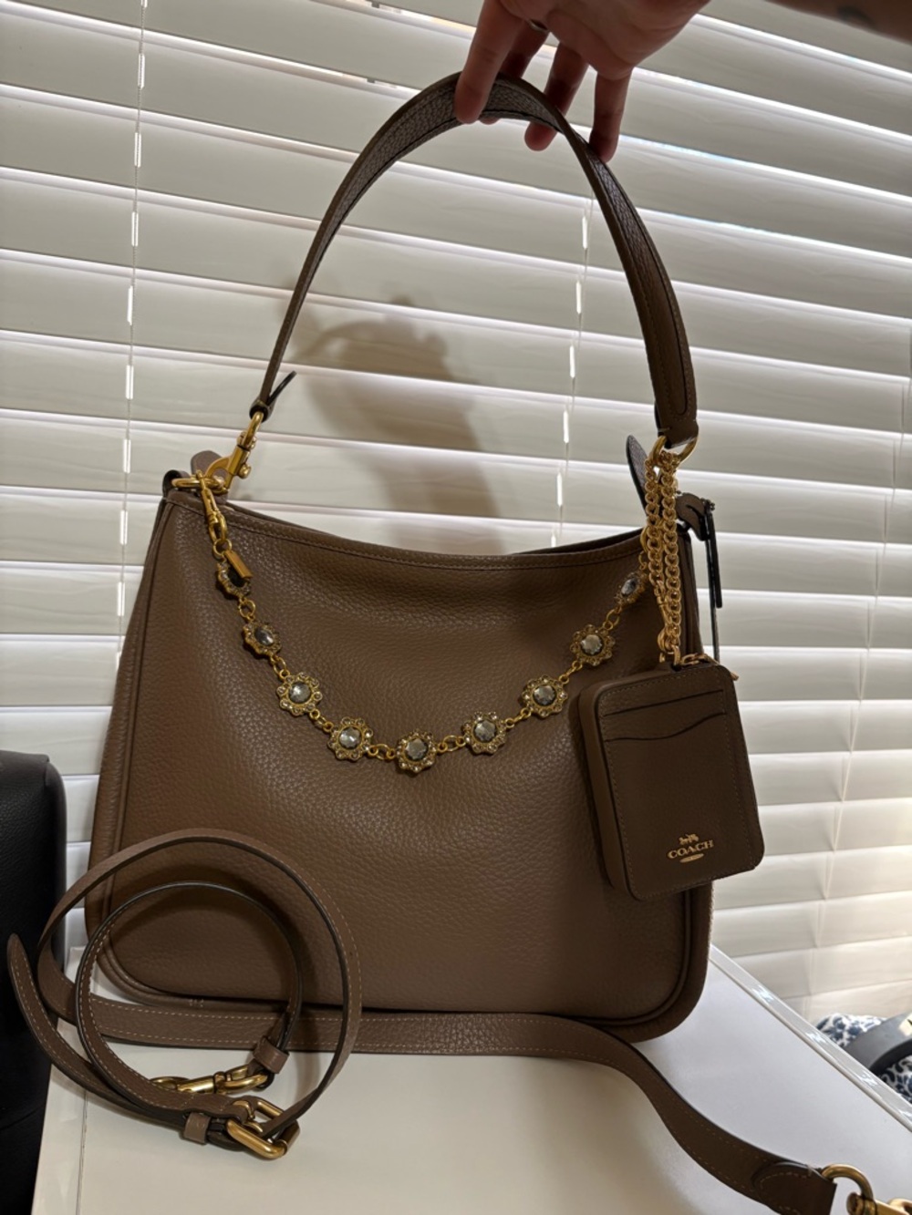 ✨🤎Coach Cary Bag In Dark Stone With Matching Wallet - Picture 2 of 11
